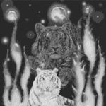 Weltall Tiger 80x80cm schwarz/weiß als Entwurfdruck
