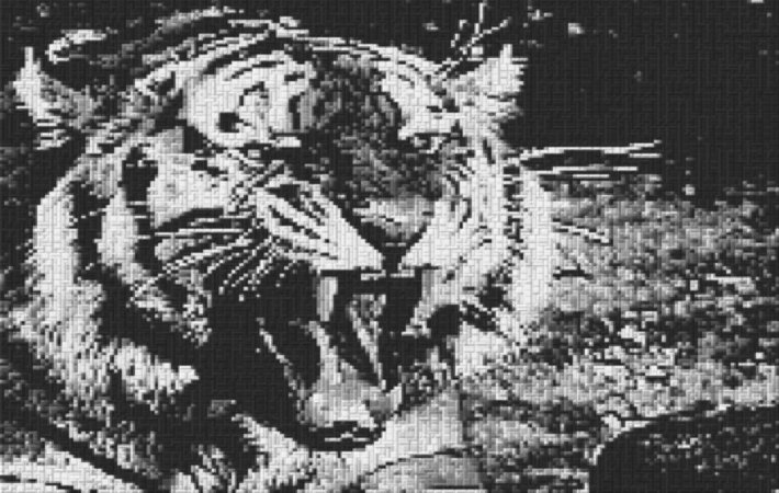 Tiger 80x60cm schwarz/weiß per eMail