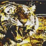 Tiger 80x60cm yellow Style als Entwurfdruck