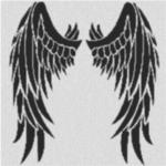 Wing 80x80cm schwarz/weiß als Entwurfdruck