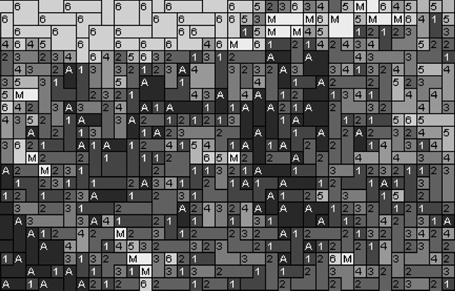 Alberta 80x60cm schwarz/weiß als Volldruck