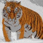 Tiger im Schnee 80x60cm cartoon Style als Entwurfdruck