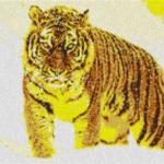 Tiger im Schnee 80x60cm yellow Style als Entwurfdruck