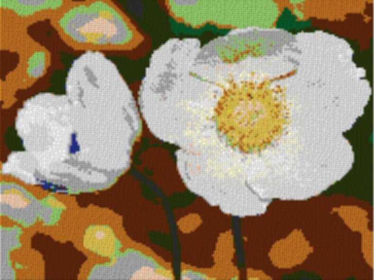 Anemone 80x60cm cartoon Style als Entwurfdruck
