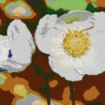 Anemone 80x60cm cartoon Style als Entwurfdruck
