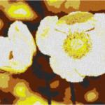 Anemone 80x60cm yellow Style per eMail