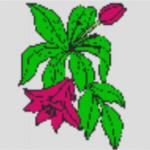 Knüpfvorlage Blume3 96x96 Knüpfknoten per eMail